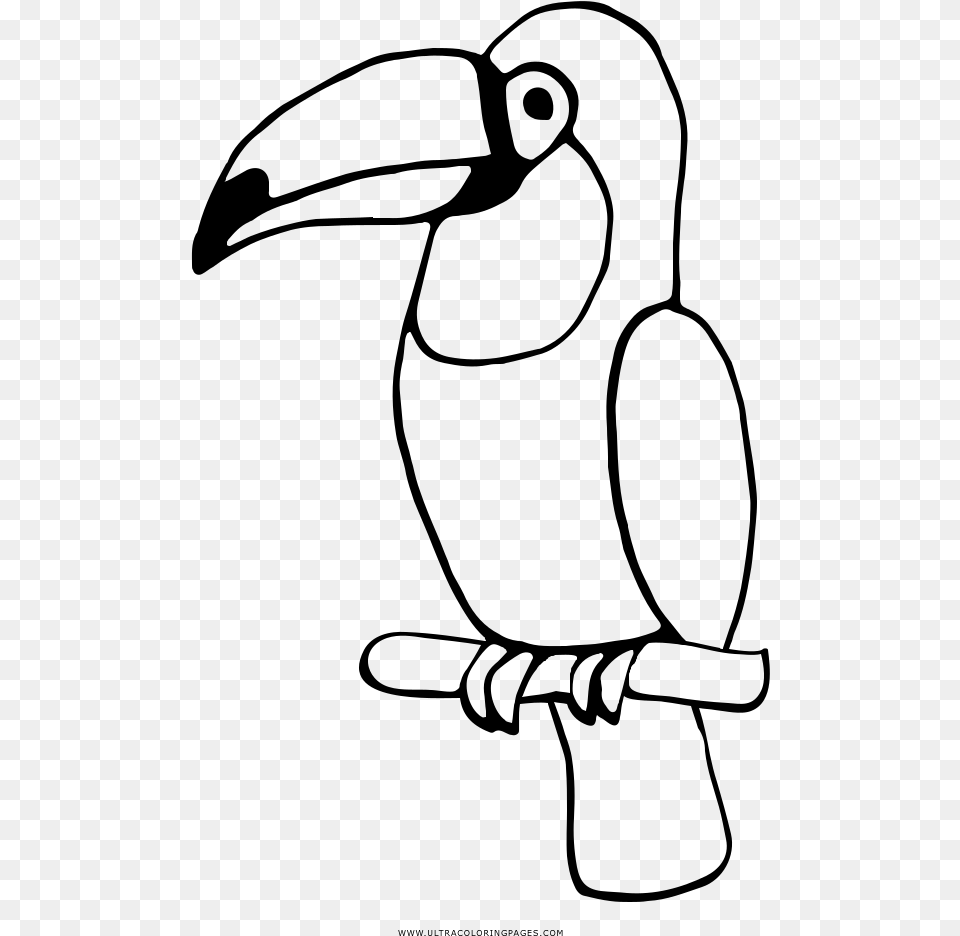 Toucan Coloring, Gray Png Image