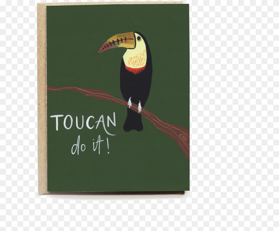 Toucan Encouragement Card Toucan, Animal, Beak, Bird Free Png