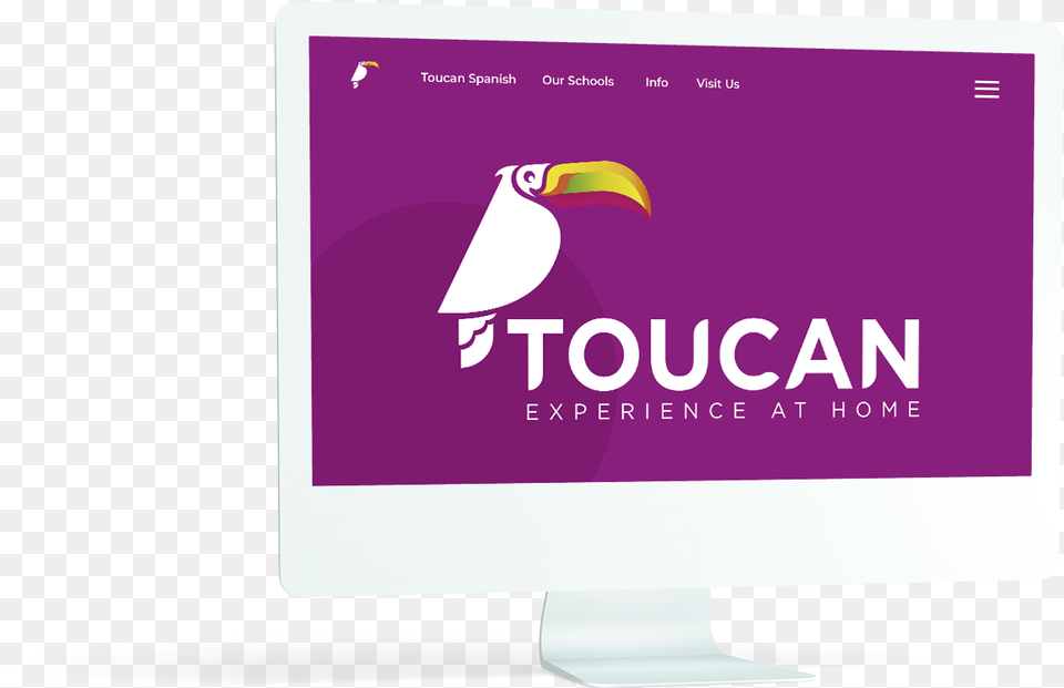 Toucan Experience At Home Graphic Design, Animal, Bird, Computer Hardware, Electronics Png