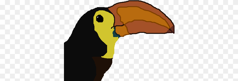 Toucan Head Toucan Head, Animal, Beak, Bird, Baby Png