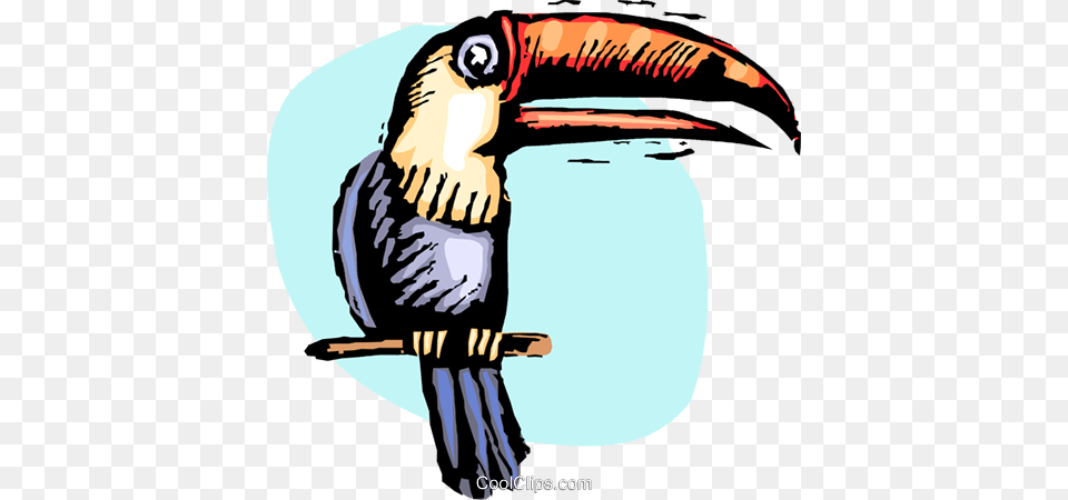Toucan On Perch Royalty Vector Clip Art Illustration, Animal, Beak, Bird, Adult Free Png Download