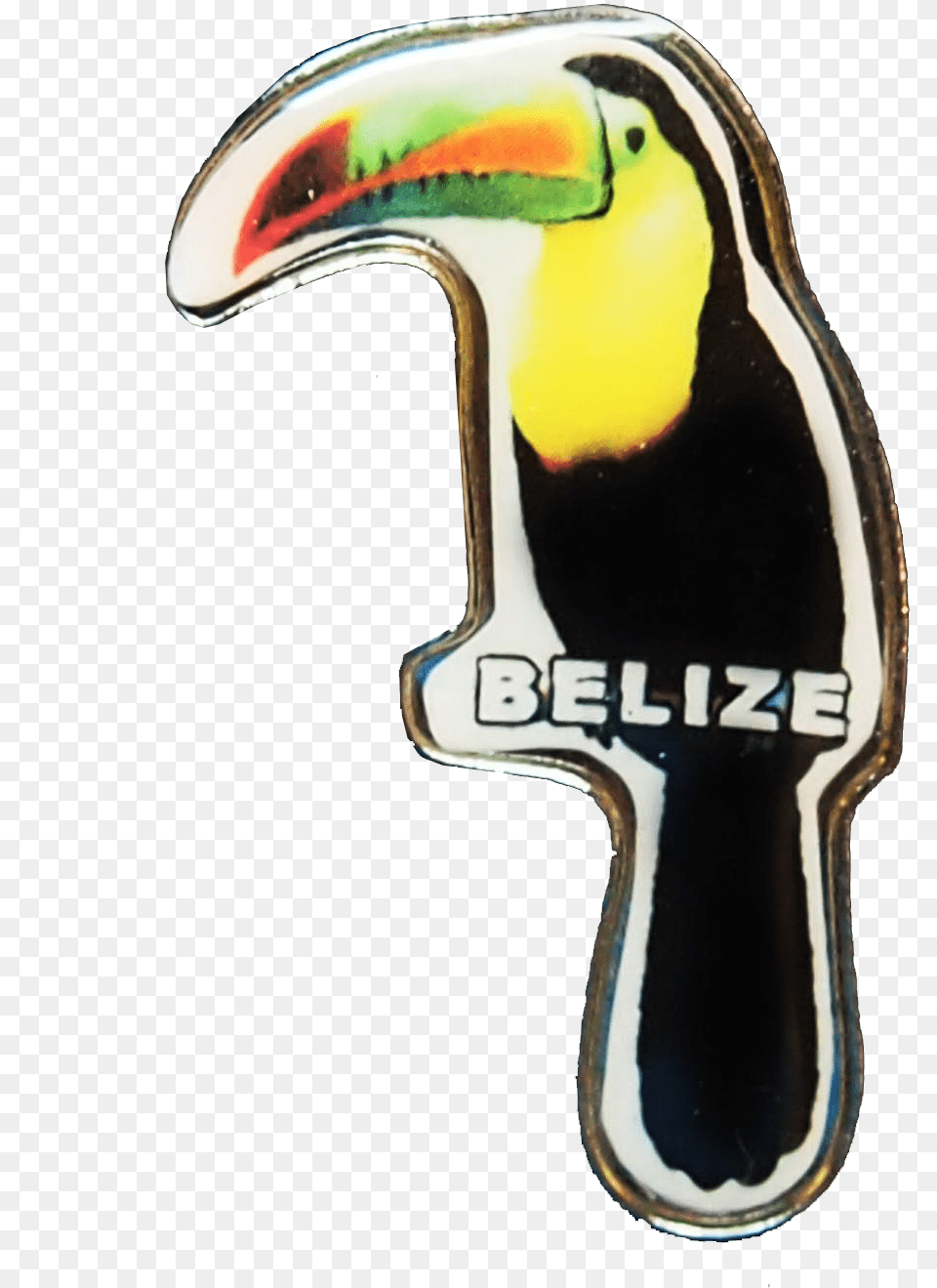 Toucan Pin Toucan, Animal, Beak, Bird Png Image