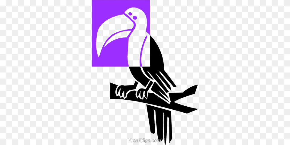 Toucan Royalty Vector Clip Art Illustration, Animal, Beak, Bird, Person Free Png