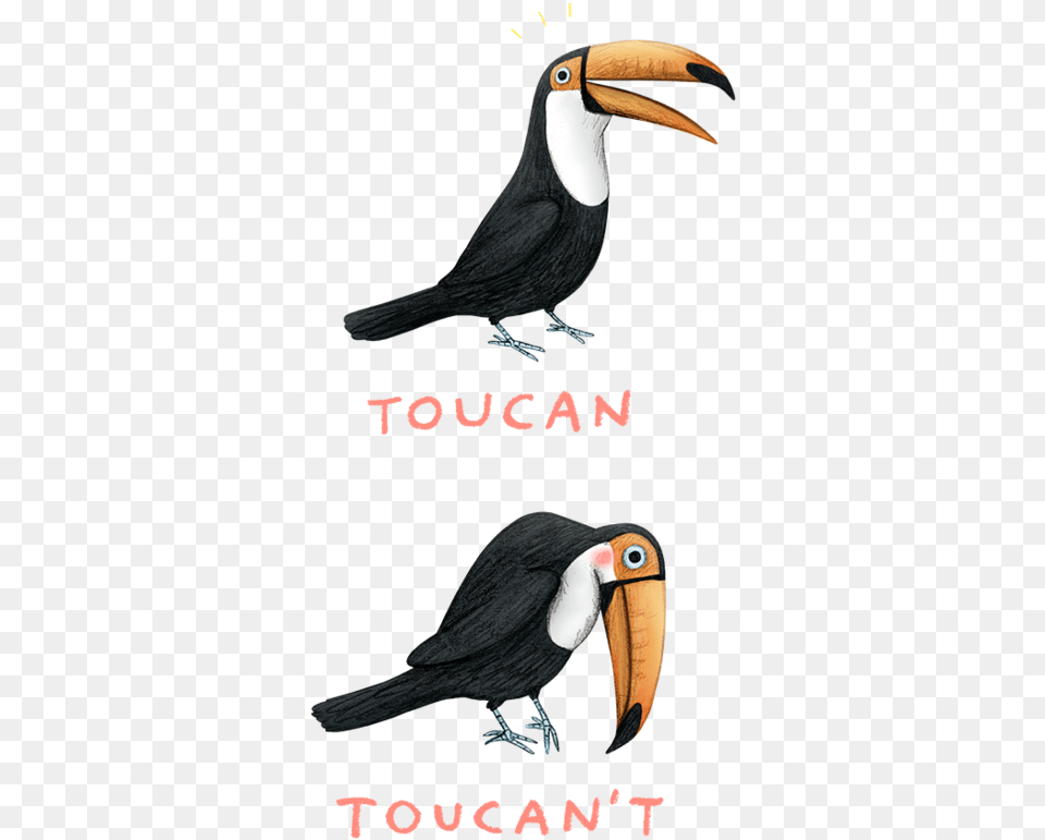 Toucan Shirt, Animal, Beak, Bird Png