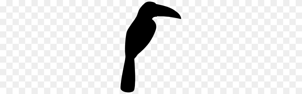 Toucan Stickers Decals Made With Premium Vinyl Material, Animal, Beak, Bird, Silhouette Free Png