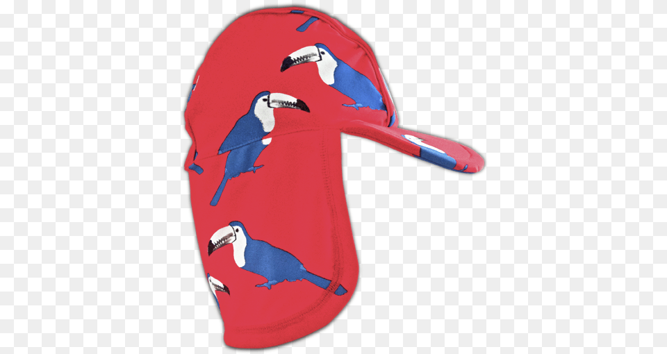 Toucan Sun Hat Songbird, Baseball Cap, Cap, Clothing, Animal Free Transparent Png