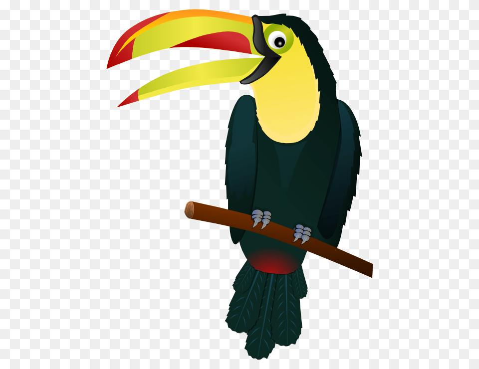 Toucan Toucan, Animal, Beak, Bird, Fish Free Png