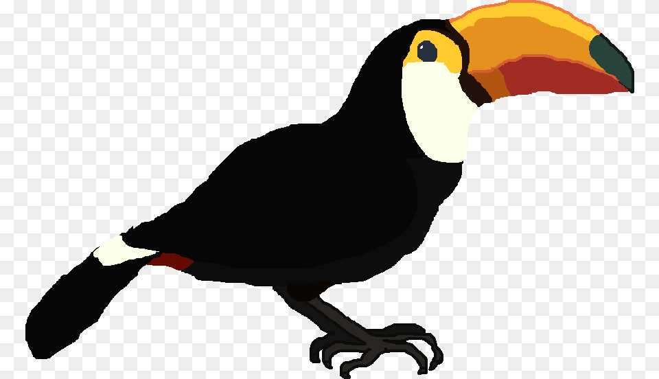 Toucan Toucan, Animal, Beak, Bird Free Png Download