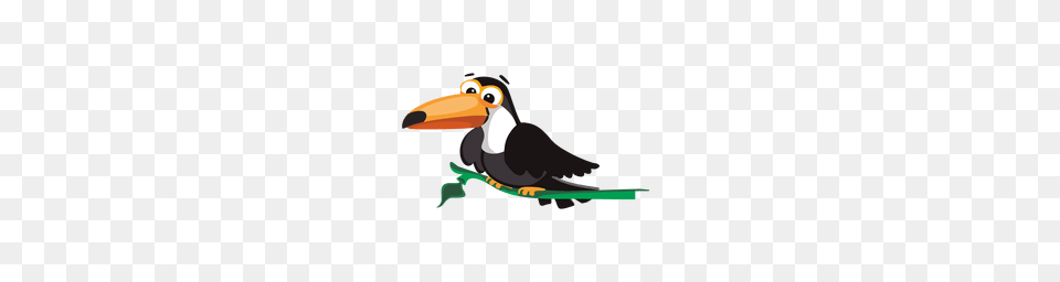 Toucan Transparent Or To Animal, Beak, Bird, Fish Free Png Download