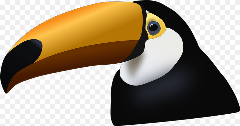 Toucan Tucano, Animal, Beak, Bird, Appliance Png Image