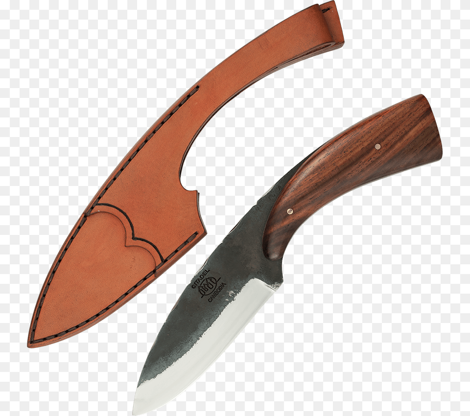 Toucan Utility Knife Throwing Knife, Blade, Dagger, Weapon Free Png Download