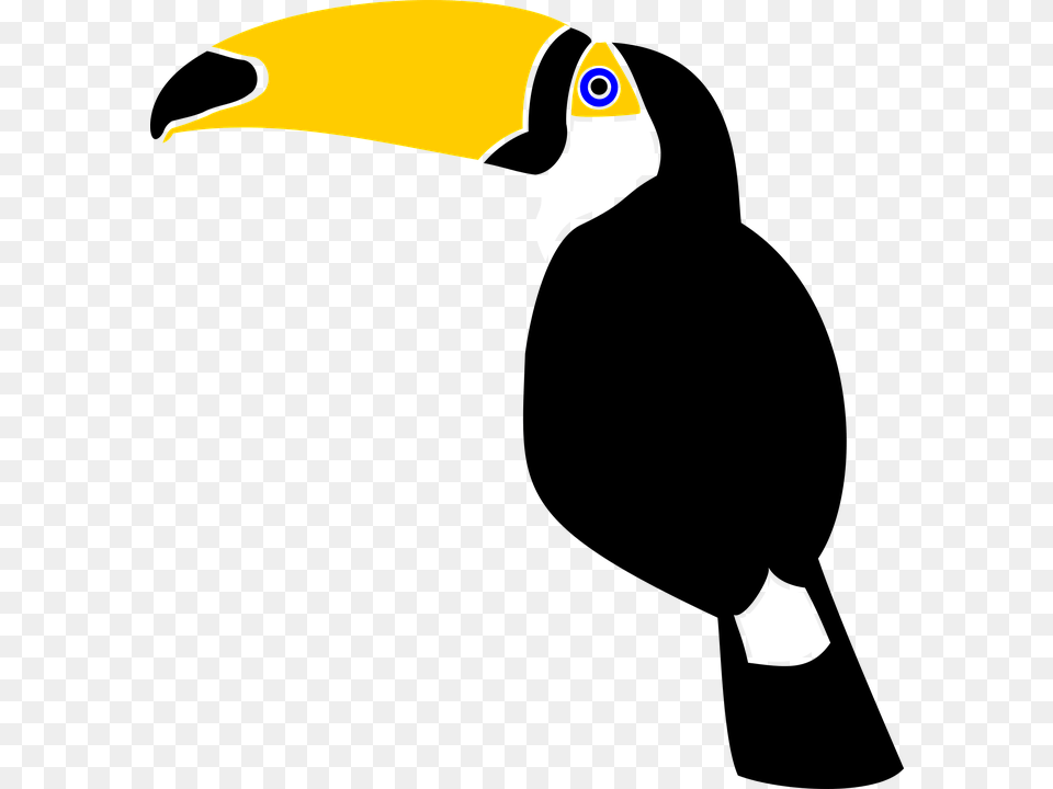 Toucan Vector, Animal, Beak, Bird, Fish Png