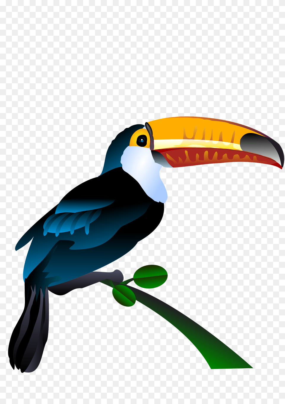 Toucan Vector Art Image, Animal, Beak, Bird Png