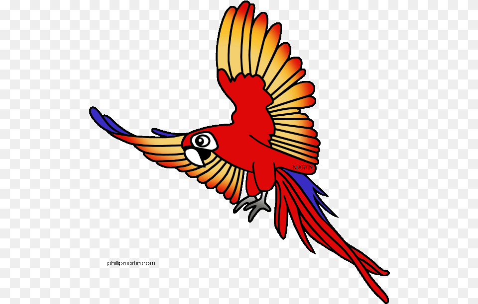 Toucanet Clipart Spring Rainforest Animal Clip Art, Bird, Macaw, Parrot, Person Png Image