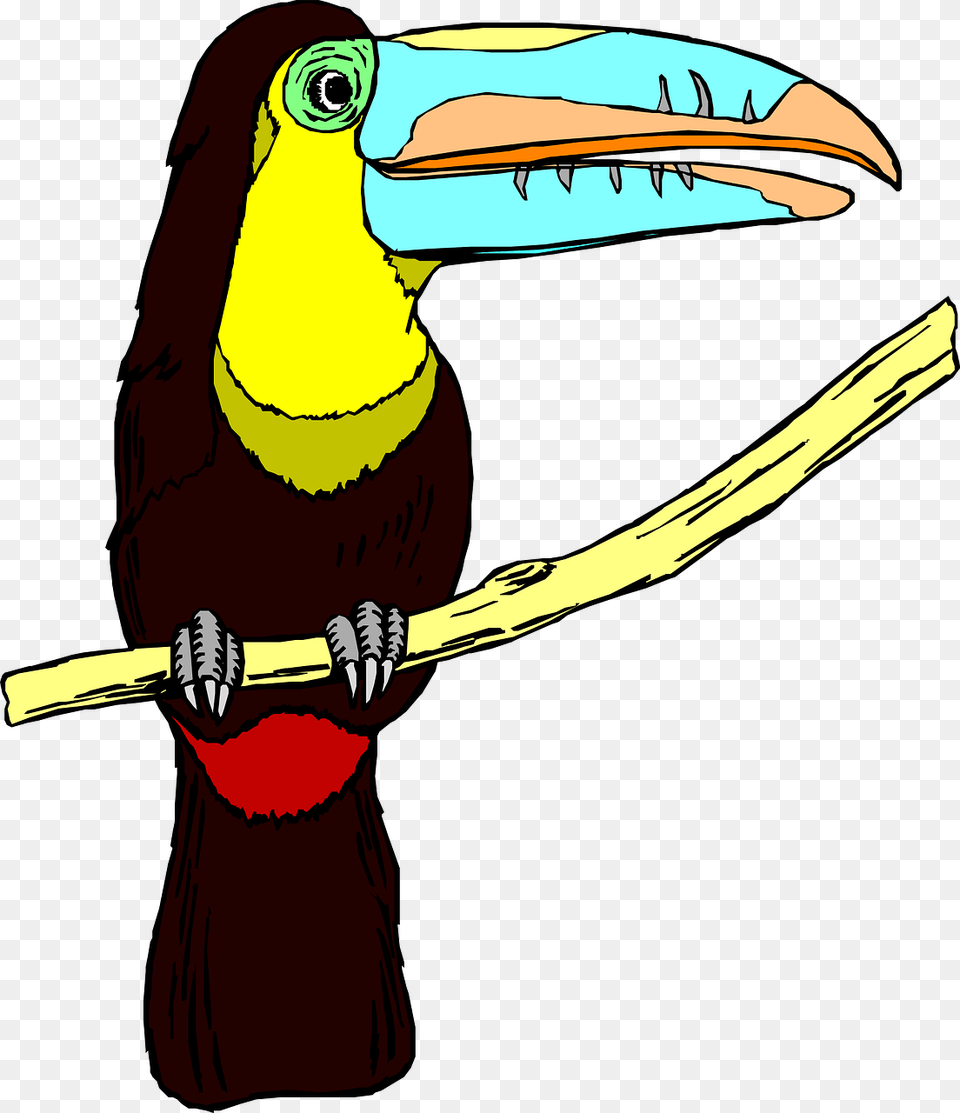 Toucans, Animal, Beak, Bird, Toucan Free Png Download