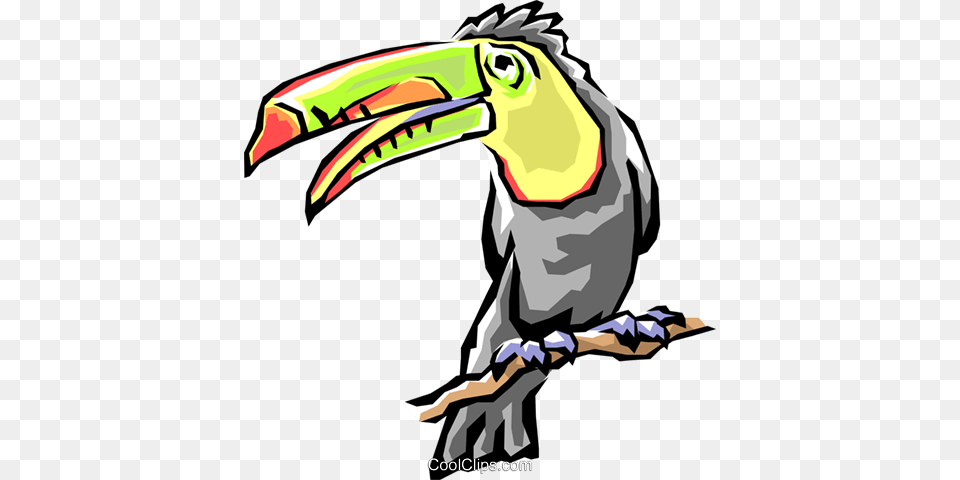 Toucans Royalty Vector Clip Art Illustration, Animal, Beak, Bird, Person Free Png