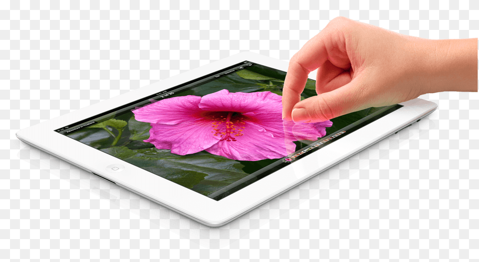 Touch Tablet, Computer, Electronics, Tablet Computer, Flower Free Png
