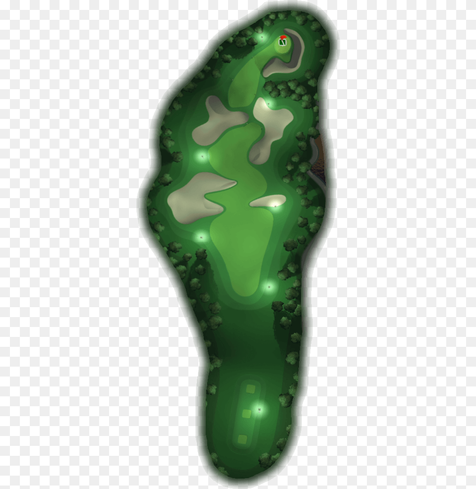 Touchdown Tree, Green, Plant, Vegetation, Accessories Free Transparent Png