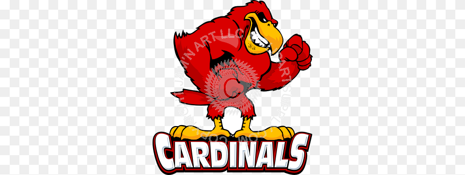 Tough Cardinal Standing, Animal, Beak, Bird, Dynamite Free Png