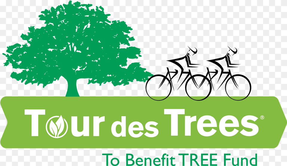 Tour Des Trees 2018, Green, Tree, Sycamore, Oak Free Png Download