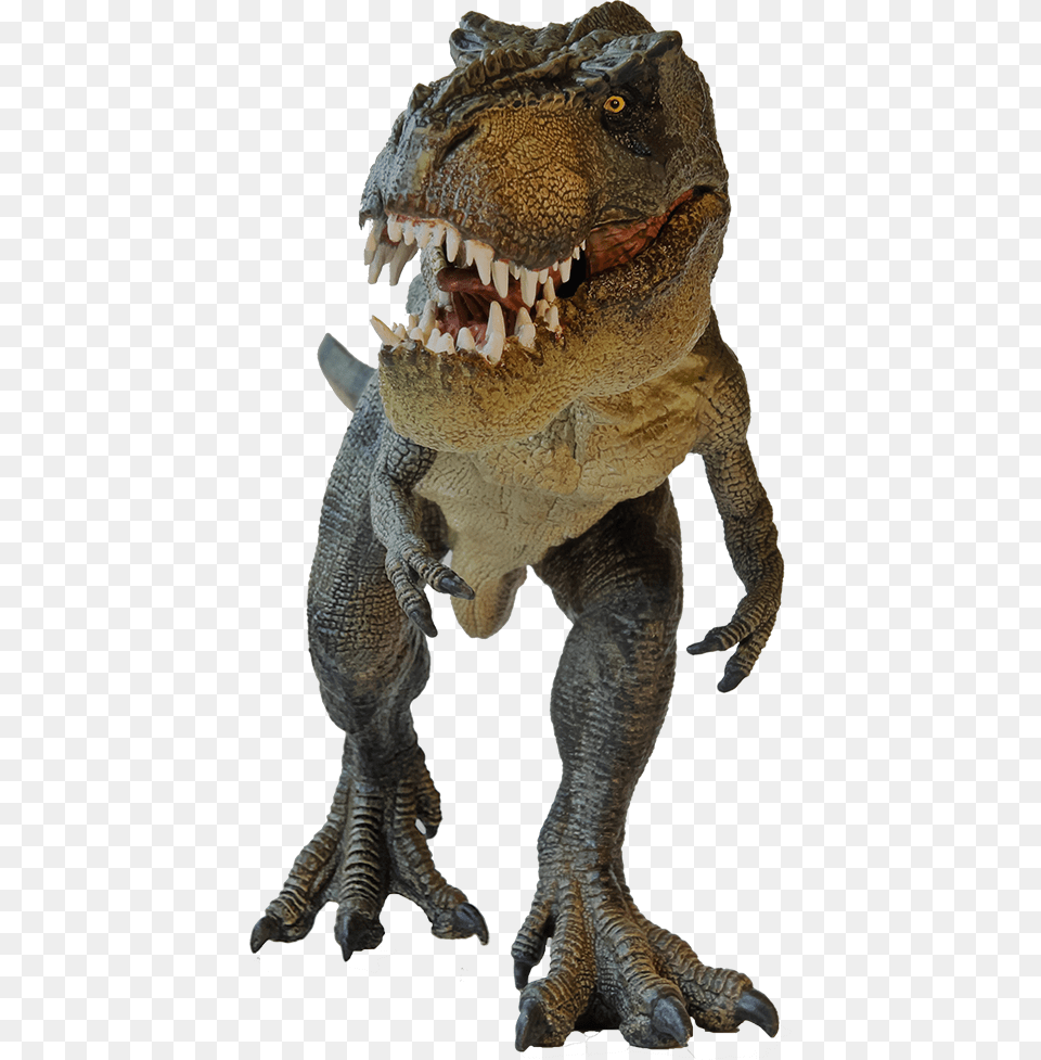 Tourney Time T Rex Running, Animal, Dinosaur, Reptile, T-rex Free Png