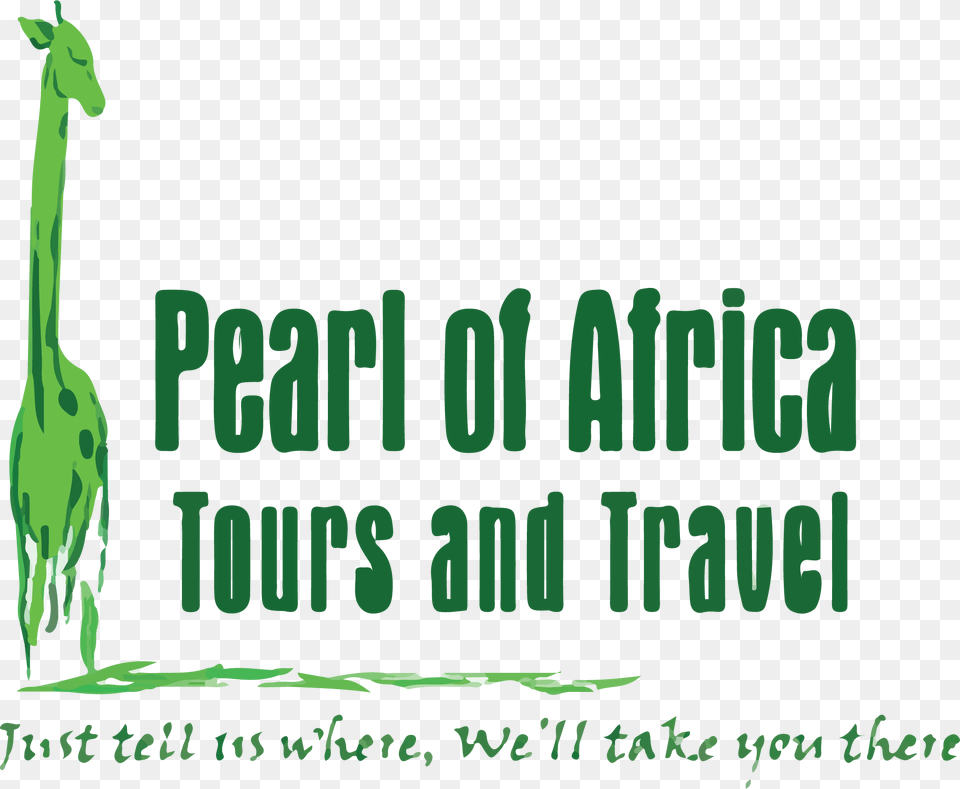 Tours And Travel Companies In Uganda, Animal, Zoo, Green, Giraffe Free Png Download