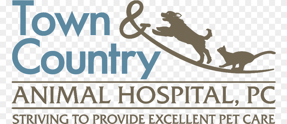 Town Amp Country Animal Hospital U, Text Png Image