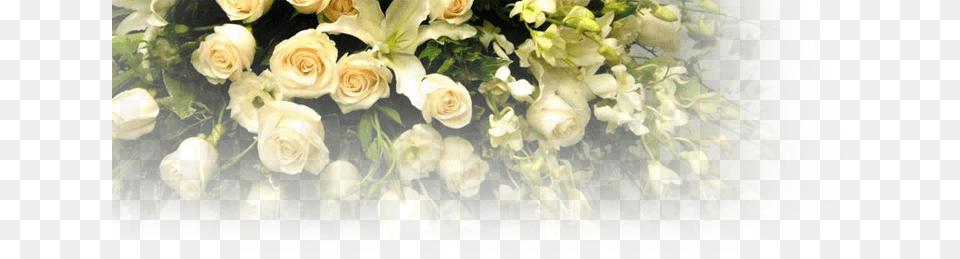 Town Amp Country Florist Flower For Funeral, Rose, Plant, Flower Arrangement, Flower Bouquet Png