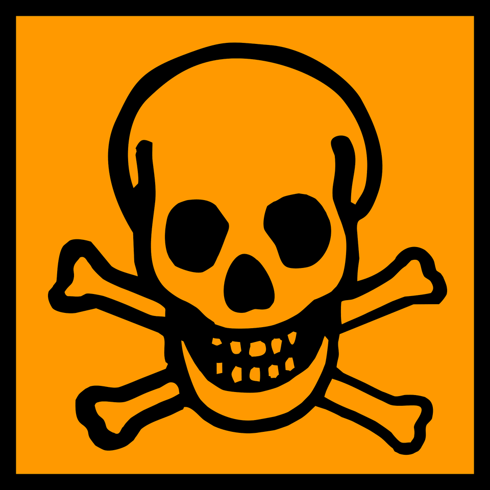 Toxic Clipart, Person, Pirate, Animal, Bear Free Png Download
