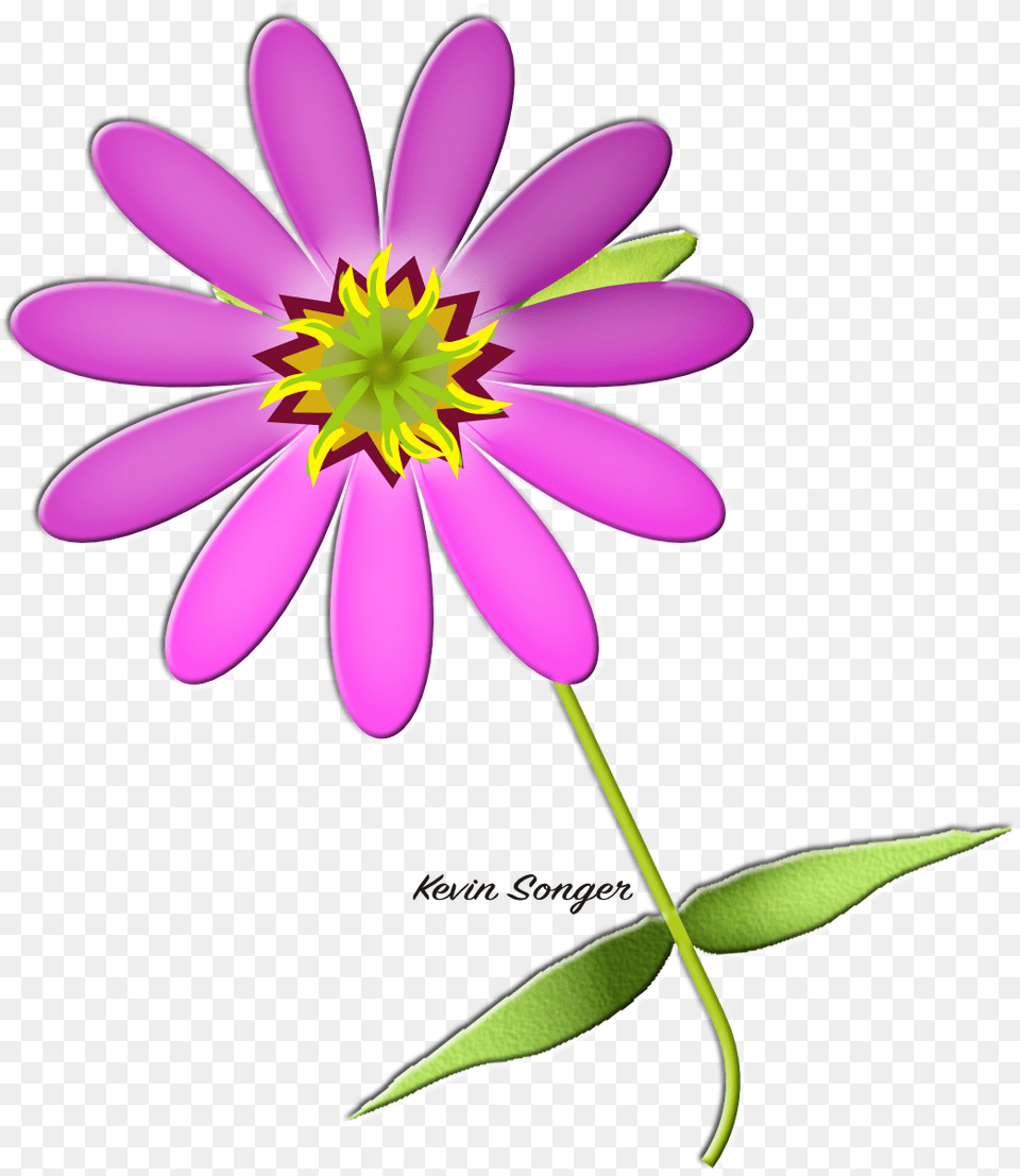 Toy, Daisy, Flower, Petal, Plant Free Png