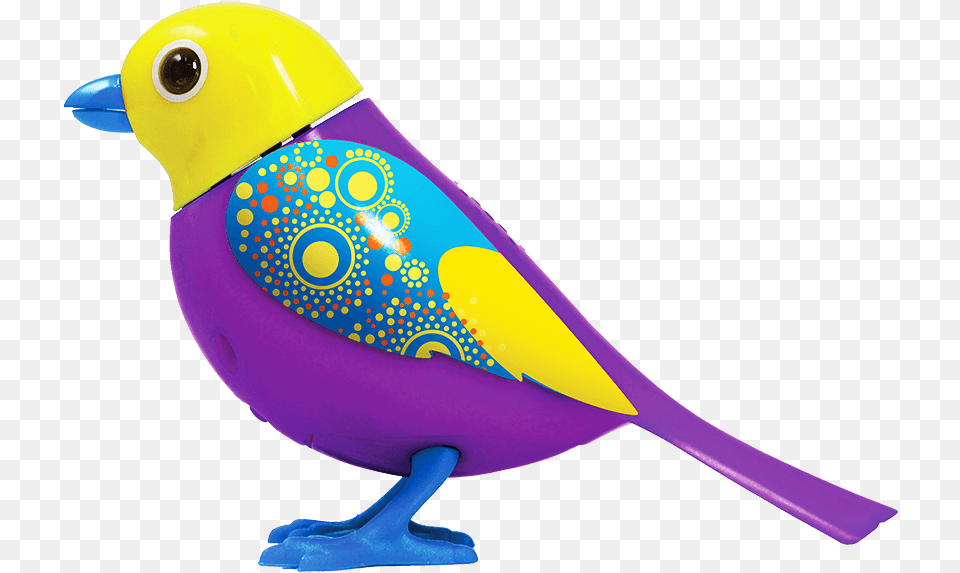 Toy, Animal, Bird, Finch, Jay Free Transparent Png