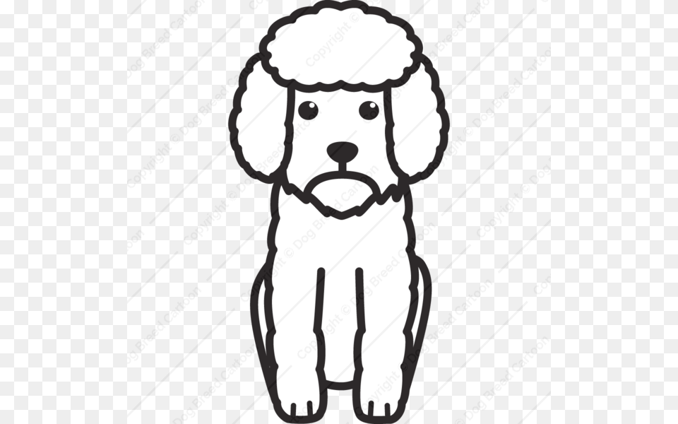 Toy Poodle Dog Breed Cartoon Download Now, Animal, Canine, Mammal, Baby Free Png