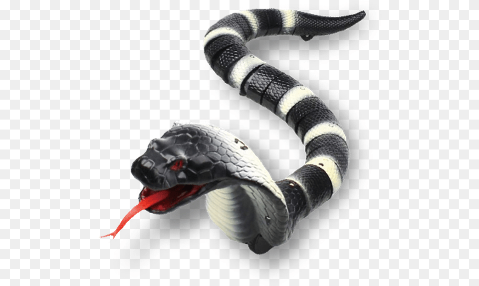 Toy Rc Cobra, Animal, Reptile, Snake Png