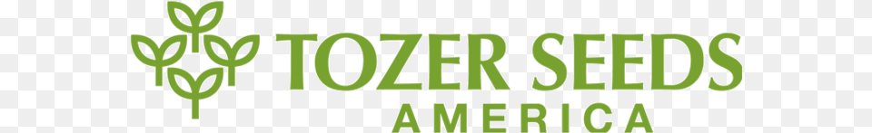 Tozer Seeds, Green, Grass, Plant, Vegetation Free Png Download