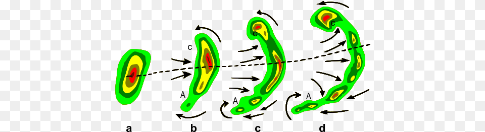 Tpica Evolucin De Un Eco De Radar De Una Tormenta Mesoscale Convective Complex Formation, Green, Nature, Outdoors, Sea Png