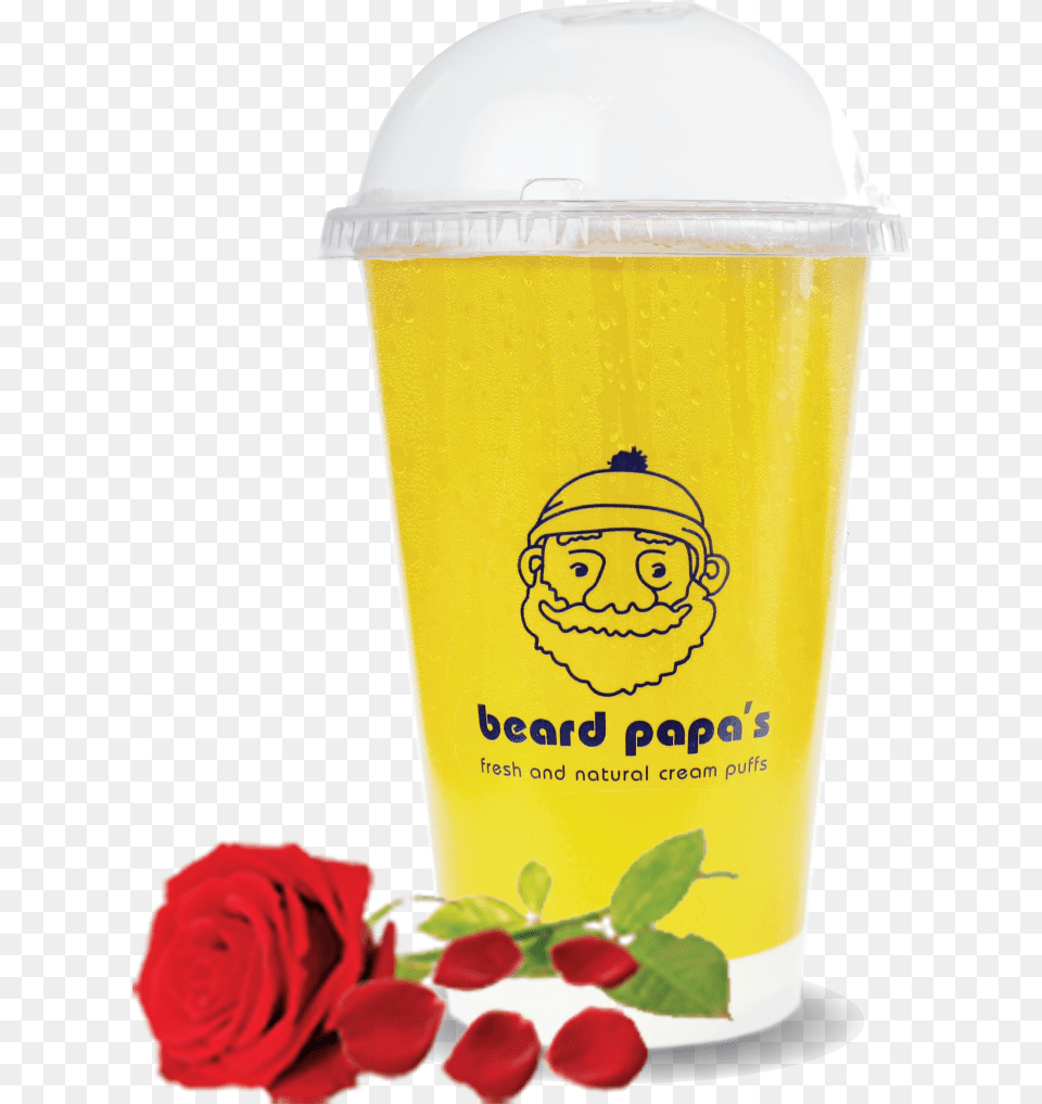 Tr Sa Hoa Hng Beard, Rose, Plant, Flower, Cup Png