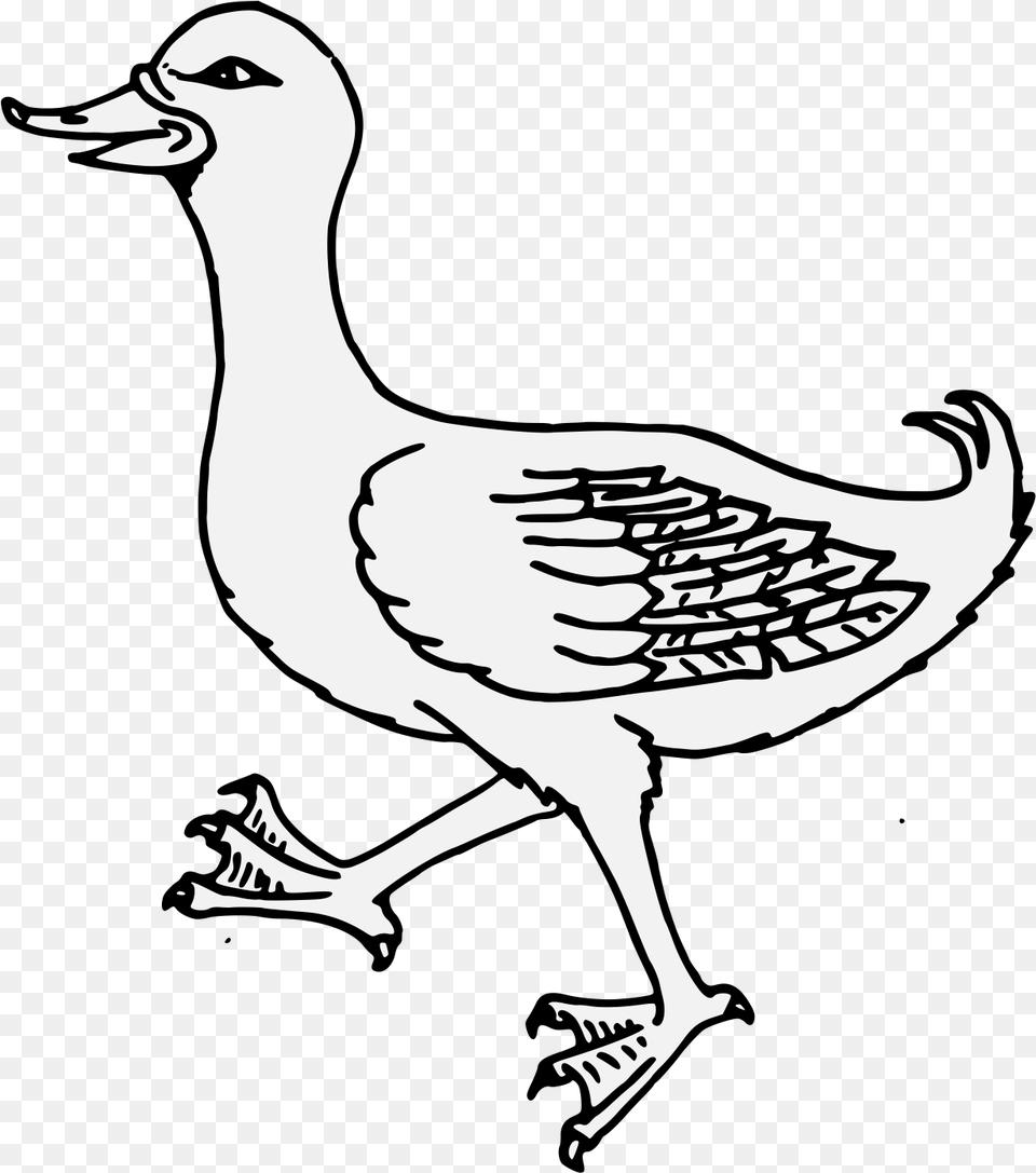 Traceable Ducks, Stencil, Animal, Bird, Goose Png Image