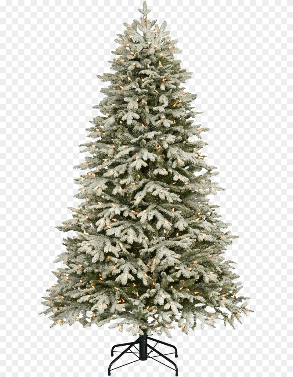 Traditional Christmas Tree With Snow Image Frosted Christmas Tree, Plant, Pine, Christmas Decorations, Festival Png