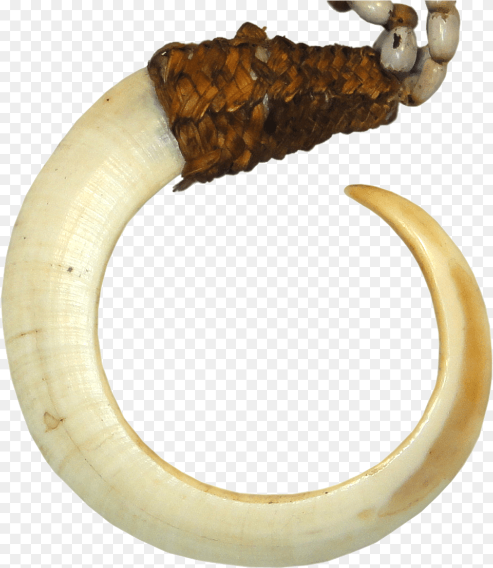 Traditional Money In Papua New Guinea, Banana, Electronics, Food, Fruit Free Png
