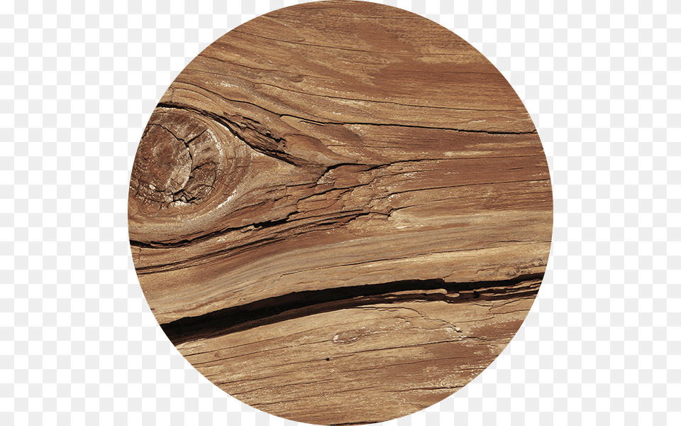 Traditional Oak Plywood, Wood, Hardwood, Plant, Tree Free Transparent Png