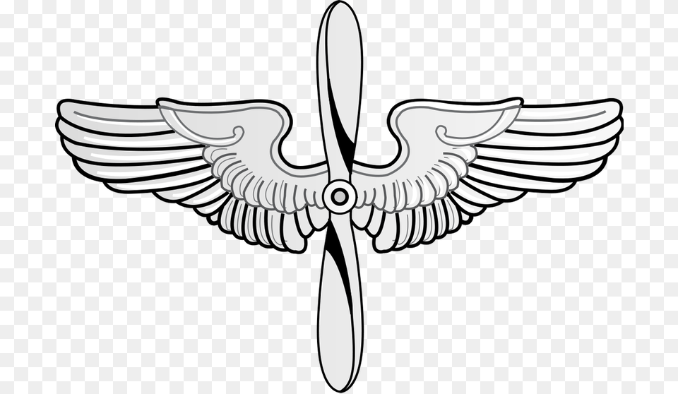 Traditional Prop And Wings Insignia Currently Used Air Force Prop And Wings, Emblem, Symbol, Animal, Bird Png Image