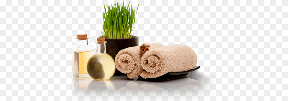 Traditional Spa Massages, Plant, Potted Plant, Bottle, Towel Free Png