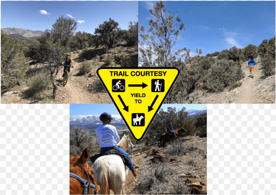 Trail Courtesy Stallion, Helmet, Man, Adult, Person Free Png Download