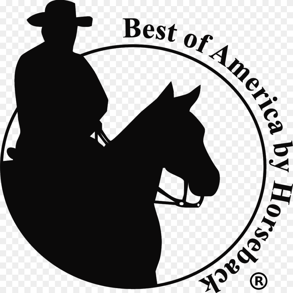 Trail Riding Clipart, Clothing, Hat, Animal, Equestrian Png