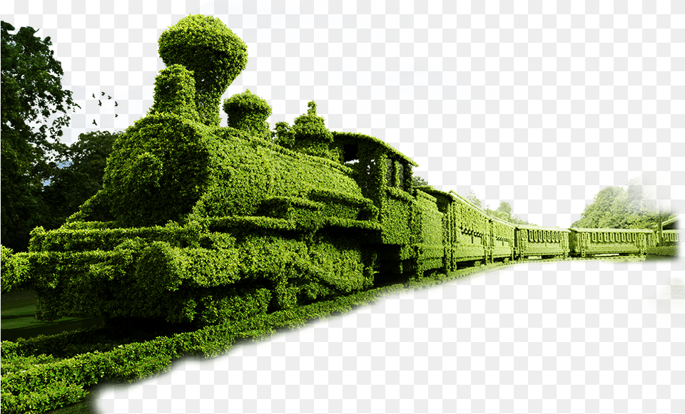 Train Topiary Garden Locomotive Transportation Topiary Train, Outdoors, Plant, Nature, Hedge Free Transparent Png