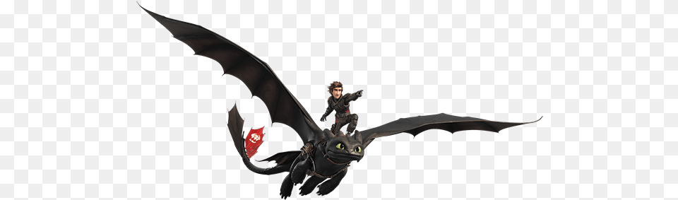 Train Your Dragon Toothless How To Train Your Dragon Hiccup, Boy, Child, Male, Person Free Png Download