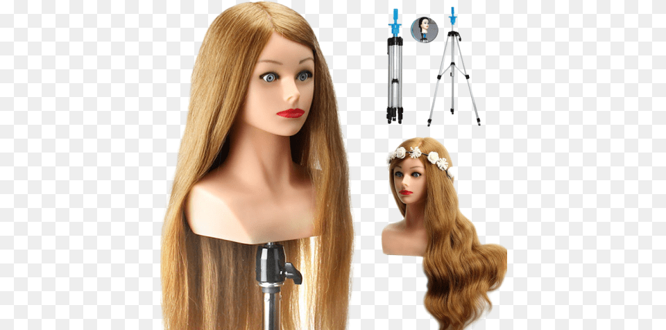 Training Head With Shoulder High Grade 80 Real Hair Hair Dummy Price, Tripod, Adult, Female, Person Free Png