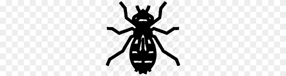 Traits Beta, Animal, Bee, Insect, Invertebrate Free Transparent Png