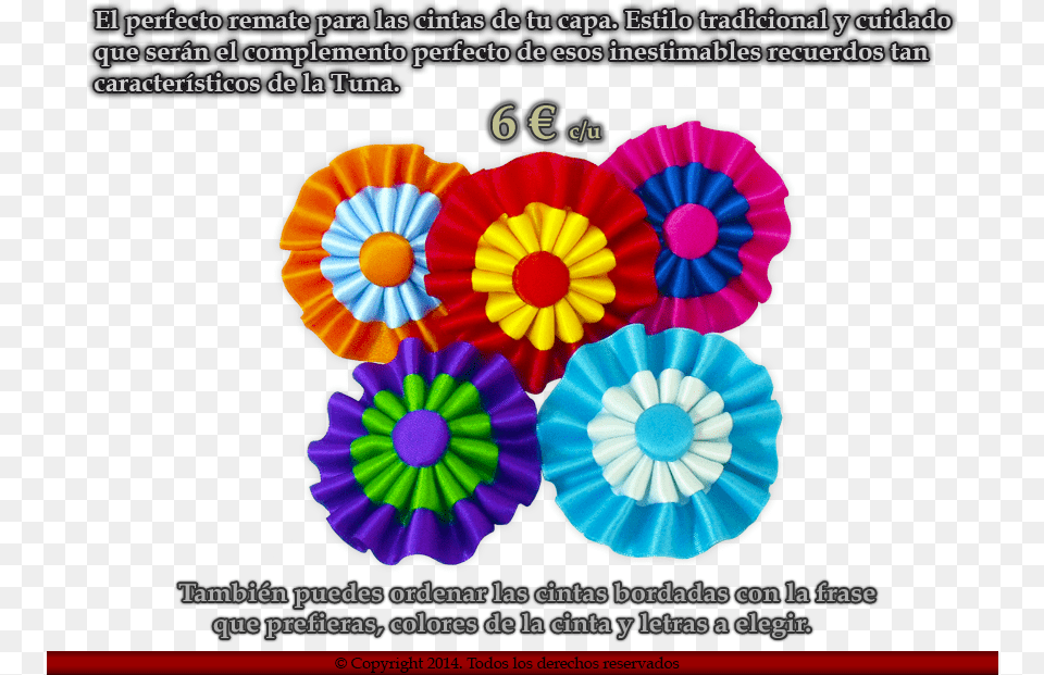 Trajes De Tuno Capas, Daisy, Dye, Flower, Plant Png