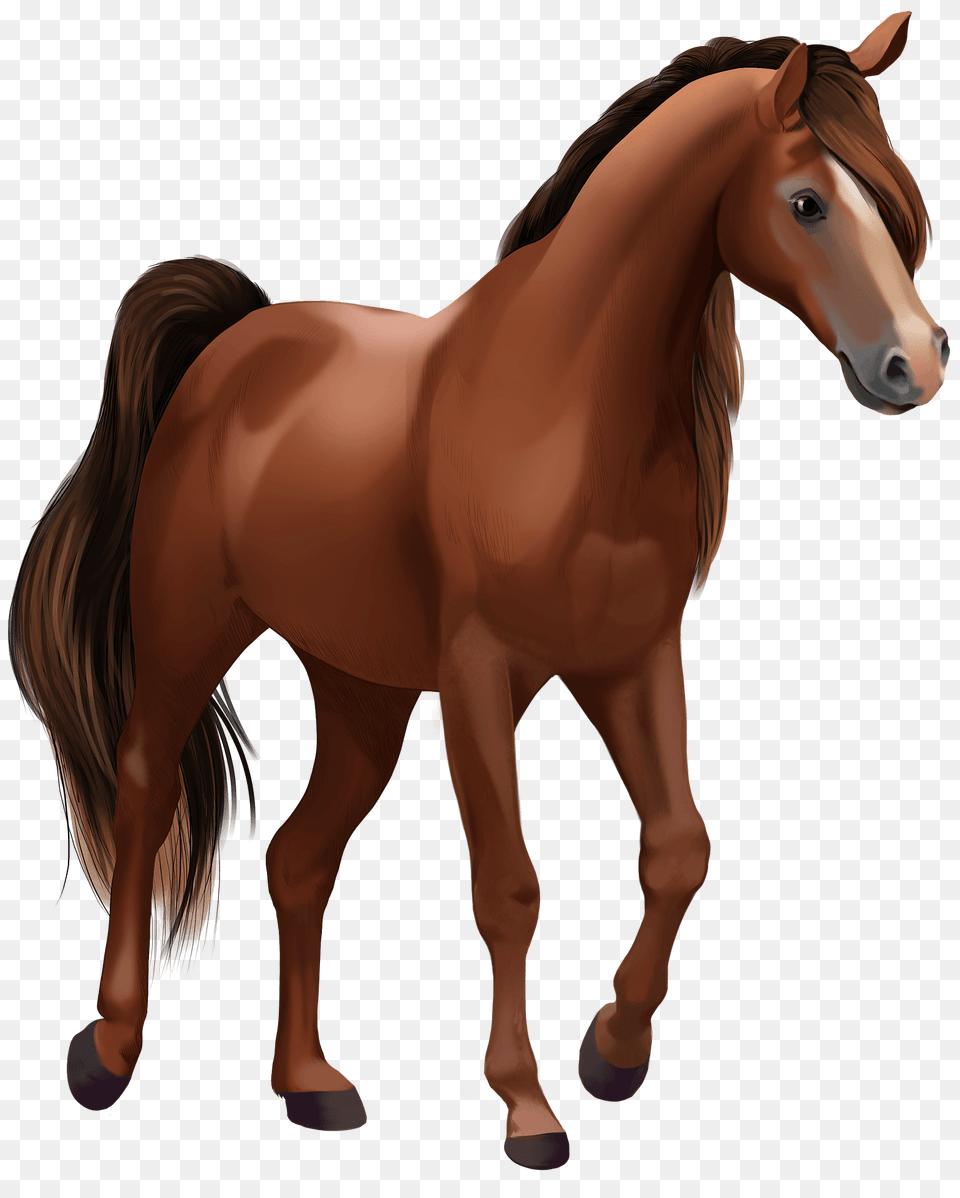 Trakehner Horse Clipart, Animal, Colt Horse, Mammal Free Transparent Png